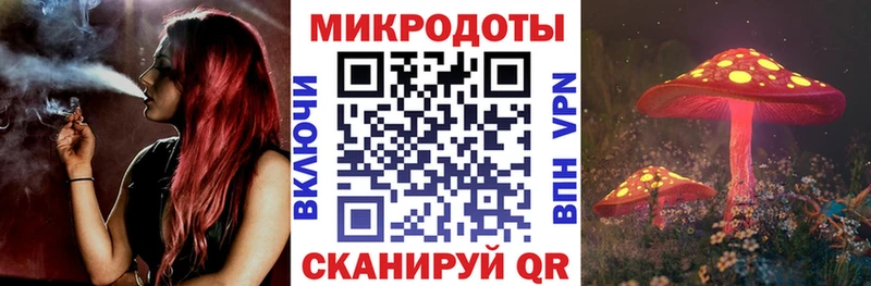 Псилоцибиновые грибы мицелий мега рабочий сайт Заречный