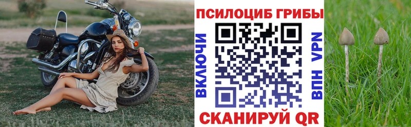 Псилоцибиновые грибы Cubensis Заречный