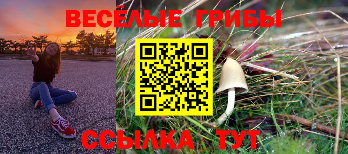 Заречный  Галлюциногенные грибы Cubensis  Вход с VPN 