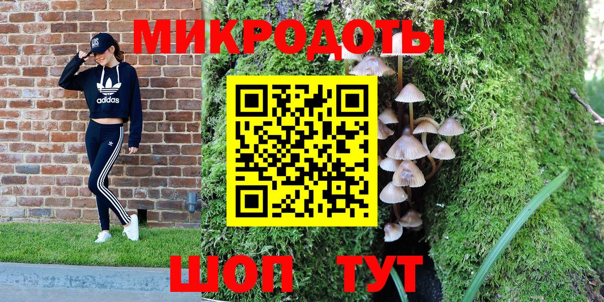 Галлюциногенные грибы Psilocybine cubensis Заречный